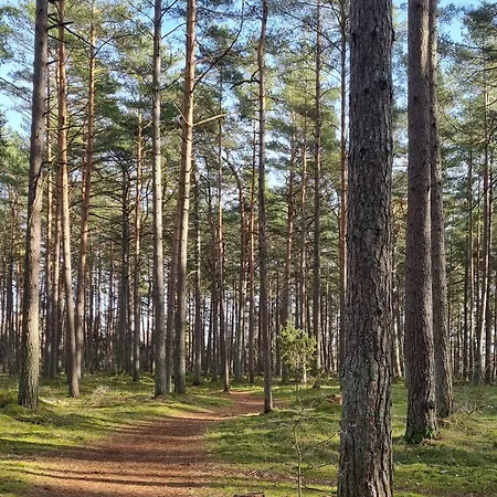 Apartamentai Linkjuros *