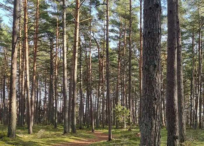 Apartamentai Linkjuros *